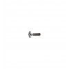 Screws T-60